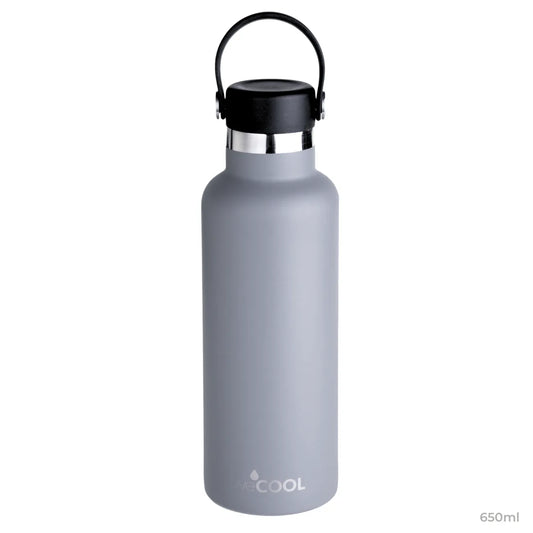 Botella Térmica Gris 650ml - WeCool