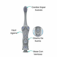 Cepillo Nutria Gris - Dr. Browns