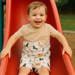 Conjunto Summer Pets