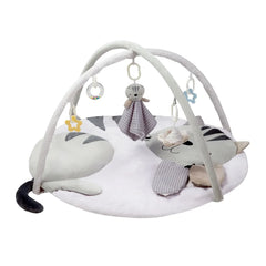 Gimnasio Didáctico Gatito Gris - Carestino